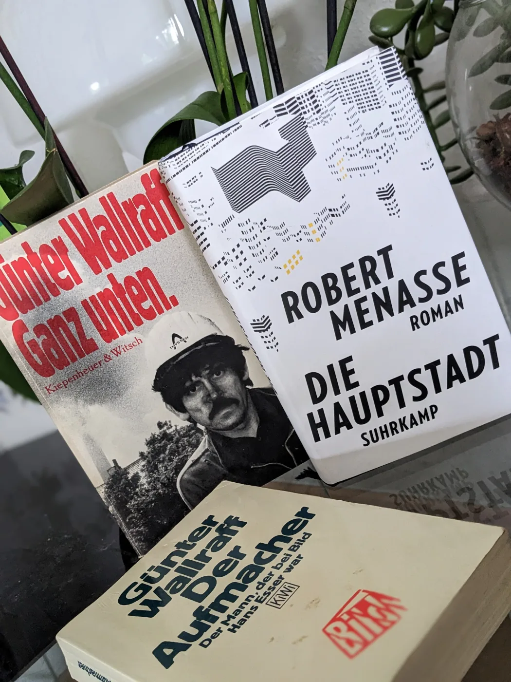 Buch Empfehlung Wallraff und Menasse