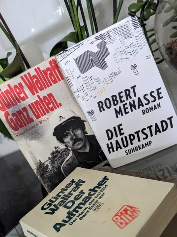 Buch Empfehlung Wallraff und Menasse
